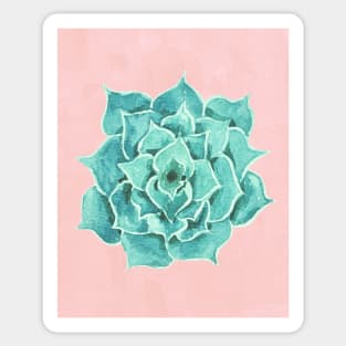 Watercolor Green Succulent On Pink Sticker